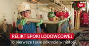 Ma 20 000 lat. Pierwsze takie odkrycie w historii