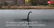 Zbadali DNA Loch Ness. Dokonali zaskakującego odkrycia