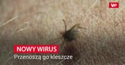 Nowy wirus przenoszony przez kleszcze