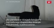 Wszedł do toalety, a tam... Zwierzę identyfikowali 7 lat