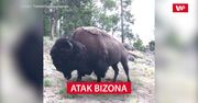 Atak bizona