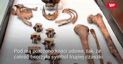 Wyciągnęli kości i zamarli. Makabryczny widok