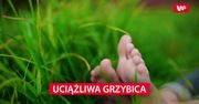 Dopada głównie latem. Trudna do wyleczenia choroba