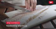 Rtęć w rybach. Naukowcy alarmują