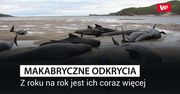 Makabryczne odkrycia na plaży. Z roku na rok jest ich coraz więcej