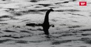 Oto tożsamość potwora Loch Ness
