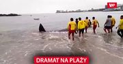 Dramat na plaży