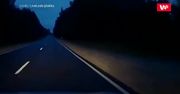 Wbiegł prosto pod auto. Kierowca i jego żona mieli niewiarygodne szczęście