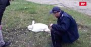 Uratowali Kubusia. Ptak zaplątał się w żyłkę