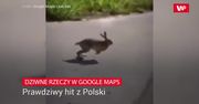 Dziwne rzeczy na Google Maps. Prawdziwy hit z Polski