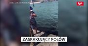 Zaskakujący połów. Wędkarz musiał sobie zrobić zdjęcie