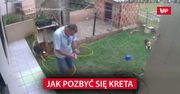 Pokazał, jak poradzić sobie z kretem. Nie tego się spodziewał