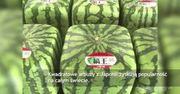 Kwadratowe arbuzy robią furorę na świecie