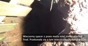 USA: Kobieta wpadła do 6-metrowej dziury w ziemi
