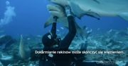 Nurkowie nielegalnie dokarmiali rekiny
