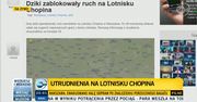 Dziki sparaliżowały ruch samolotów na lotnisku w Warszawie