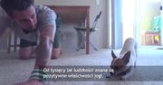 Pies i jego pan razem ćwiczą jogę