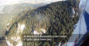 Słowacja - płoną lasy w Karpatach