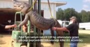 Aligator rekordowych rozmiarów