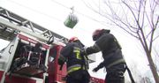 Tak ratuje się ludzi uwięzionych w gondoli