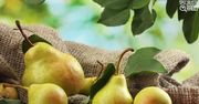 Co warto wiedzieć o gruszce? [Specjalista radzi]