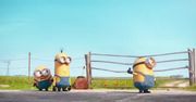 Minionki (2015)