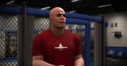 EA Sports MMA