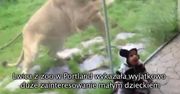 Lew chciał zaatakować dziecko