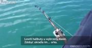 Chwile grozy podczas połowu