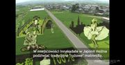 'Ryżowe' malowidła w Japonii