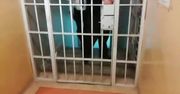 Uwodził i oszukiwał kobiety przez 20 lat