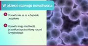 Od czego zależą przerzuty w raku żołądka?