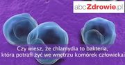 Fakty o zdrowiu - Chlamydia