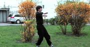 Wing Tsun Kung Fu