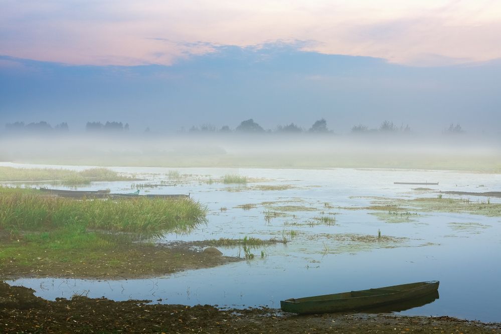 Susza w polskiej Amazonii. Nad Narwią modlą się o śnieg