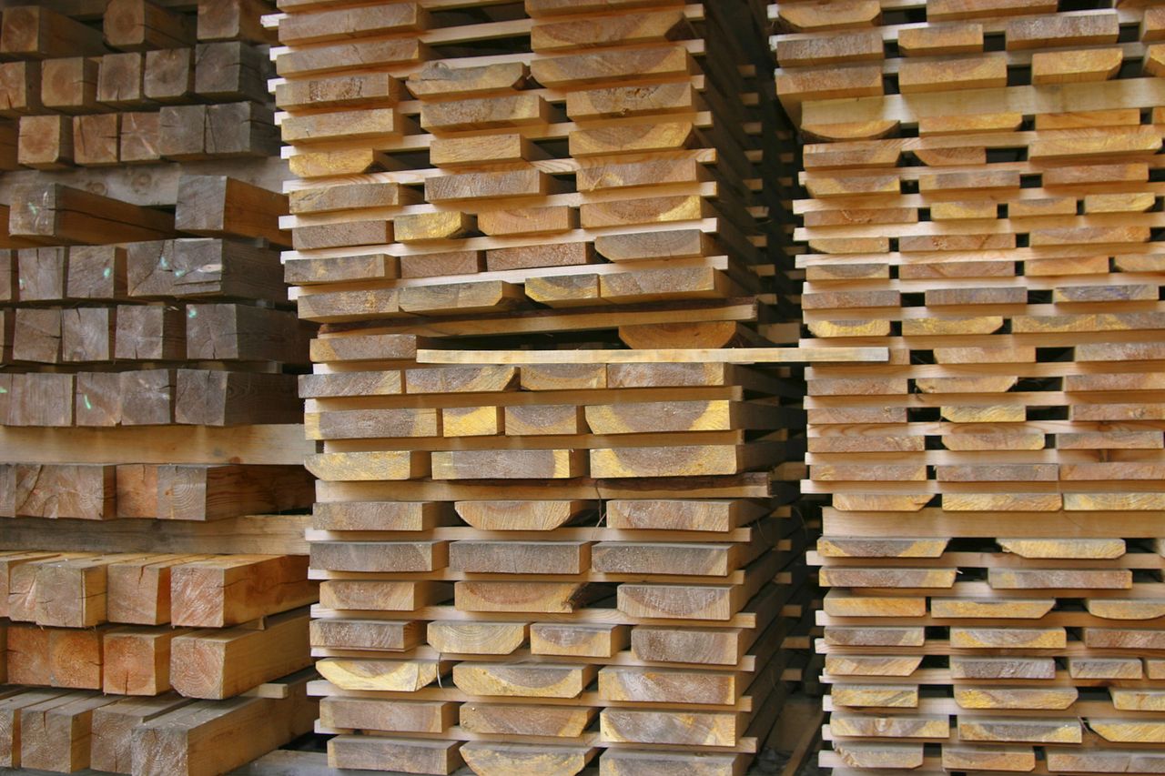 Naukowcy odkryli drewno, które jest twarde jak stal. Nie przepuści pocisku