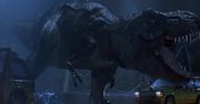 Fakty i mity o dinozaurach. Niektóre mocno cię zaskoczą
