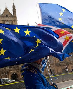 Kolejny brexitowy krok Londynu i Brukseli. Zapadła decyzja ws. Polaków