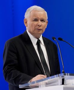 Nowy sondaż partyjny. PiS odjeżdża opozycji