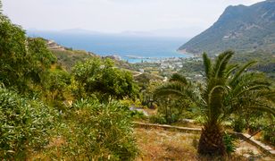 "Stefan cały krwawił". Niemcy szukają Polaków, którzy im pomogli