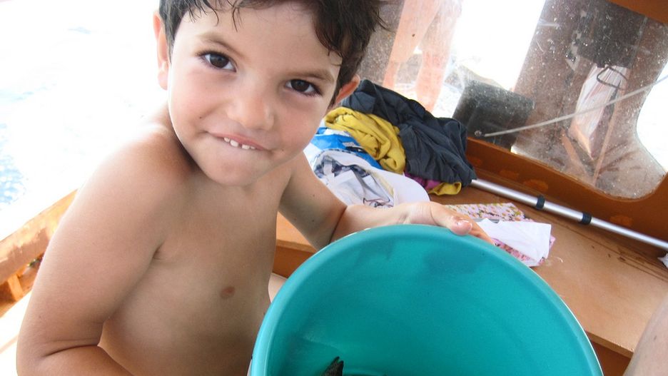 Obraz