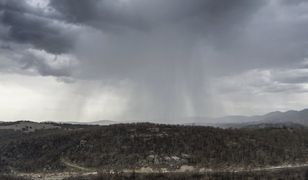 W Australii nareszcie spadł deszcz. Mieszkańcy są zachwyceni, ale pojawiło się inne zagrożenie