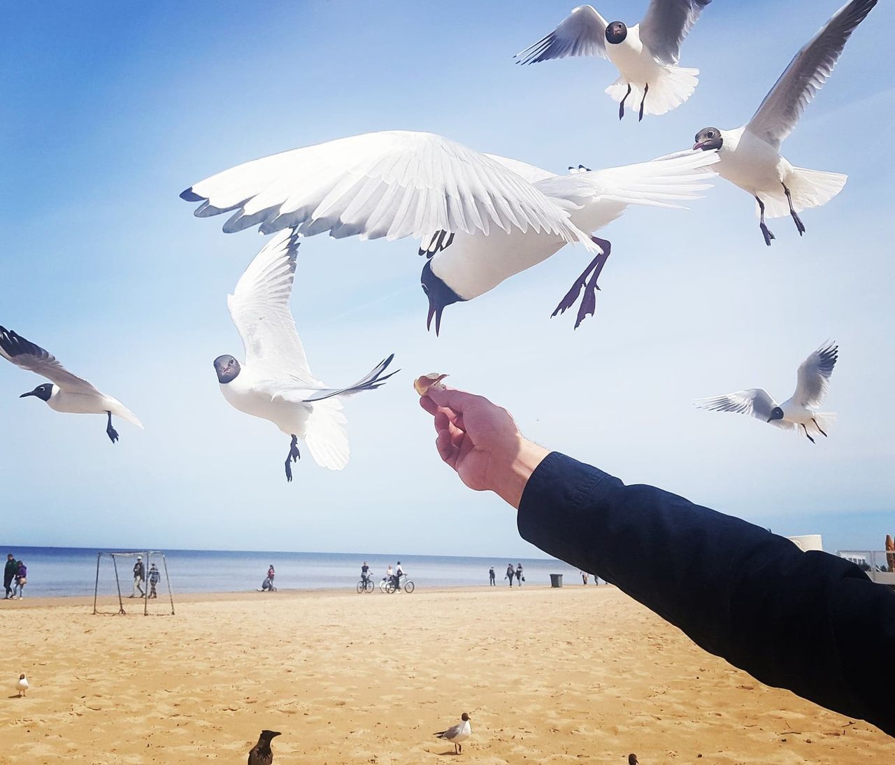 Łotwa. Bezkresne plaże i kurort z komunistycznym sznytem