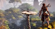 GT Sport i Horizon Zero Dawn grywalne na WGW. Będzie też większość gier Microsoftu z gamescomu