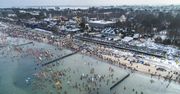 Tysiące morsów przybyły do Mielna. Jedna z największych tego typu imprez na świecie