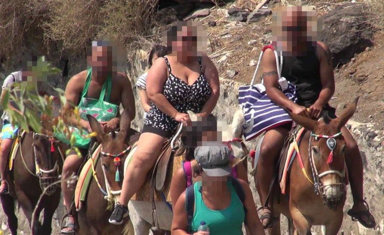 Zgodnie z przepisami zwierzęta przewożące turystów na Santorini nie powinny nosić nikogo ważącego więcej niż 50 kg