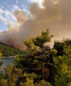 Pożar na wyspie Skopelos. "Turystom nie zagraża niebezpieczeństwo"