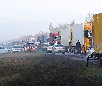 Pijany Polak zablokował autostradę w Holandii. Aresztowali go