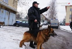 Zgubiła się w nocy w górach. Policyjny pies uratował 60-letnią kobietę