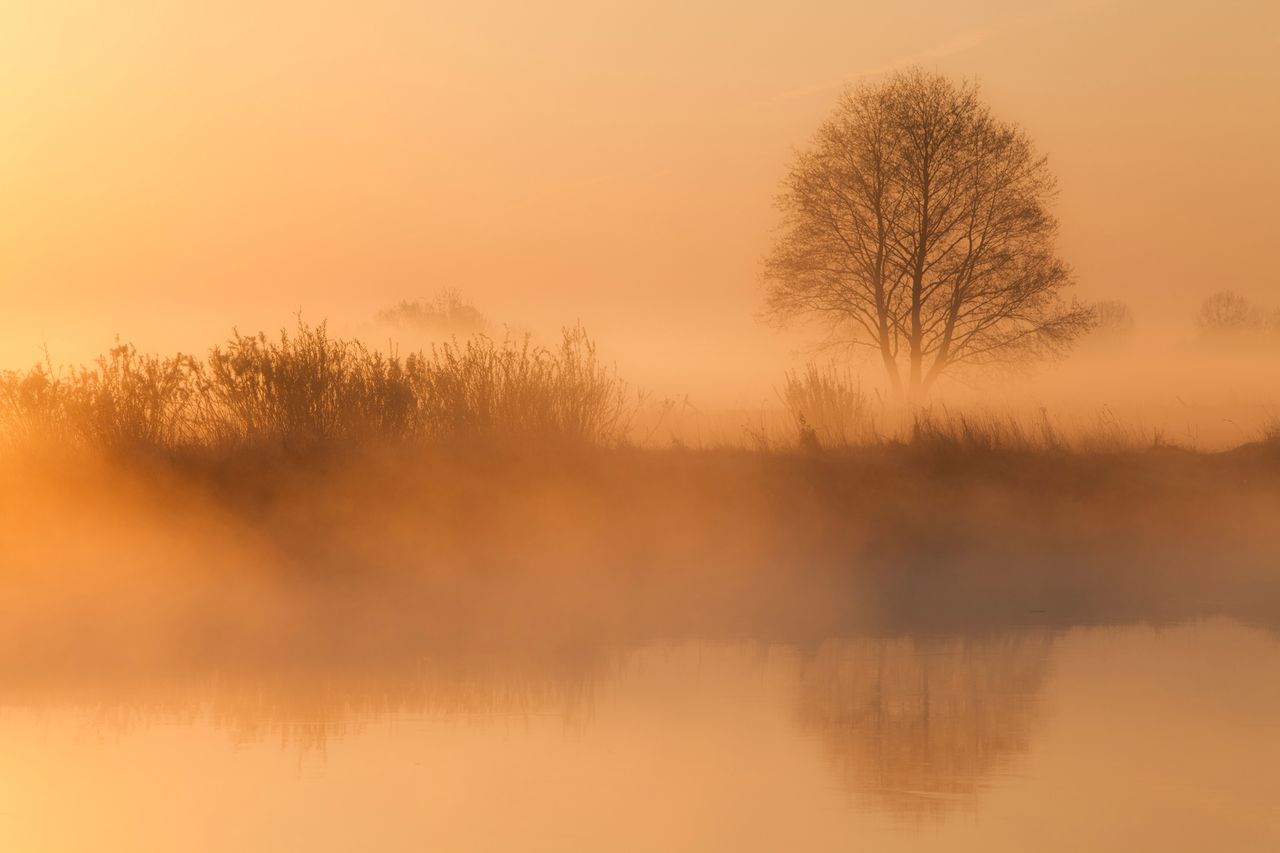 Fotofelieton Mikołaja Gospodarka: Narew lubi się bawić w chowanego